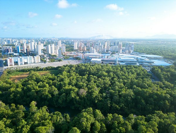 Offres d'emploi dans le domaine de la technologie